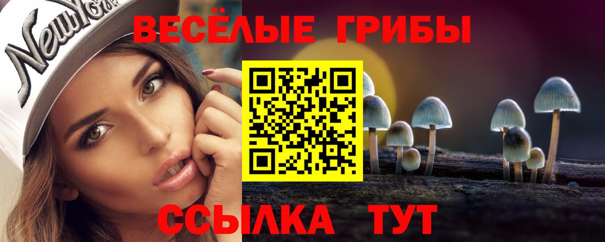 где купить наркотик  Вход с VPN  Дзержинский  Галлюциногенные грибы MAGIC MUSHROOMS  Псилоцибиновые грибы Magic Shrooms 